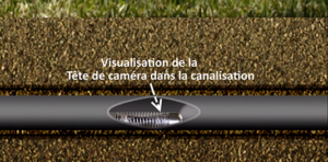 tete-de-camera