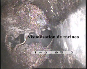 Visualisation de racines
